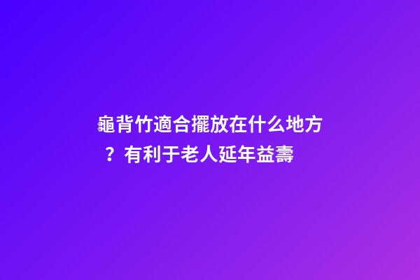 龜背竹適合擺放在什么地方？有利于老人延年益壽